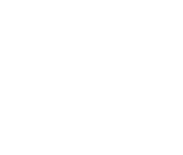 logo gdp bianco